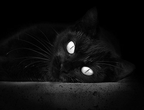 开云官方网-中小学体育设施升级提升教学质量，中小学体育设施标准