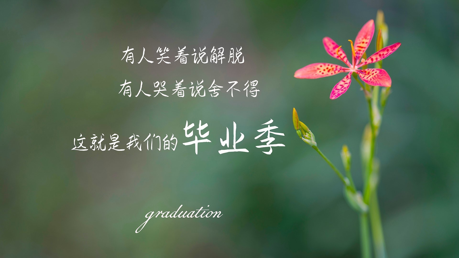 开云ky官网-五大联赛是否增加中路与边路双通道推进配合练习，五大联赛各联赛打法特点