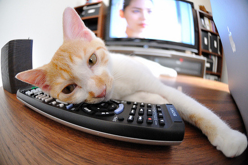 开云体育官网下载-基层足球发展与教育体系脱节，基层足球发展与教育体系脱节的关系