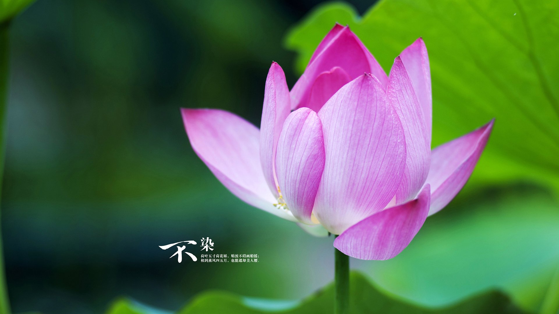 开云体育下载-新疆男篮发挥整体篮球理念构建团队优势,新疆篮球队的