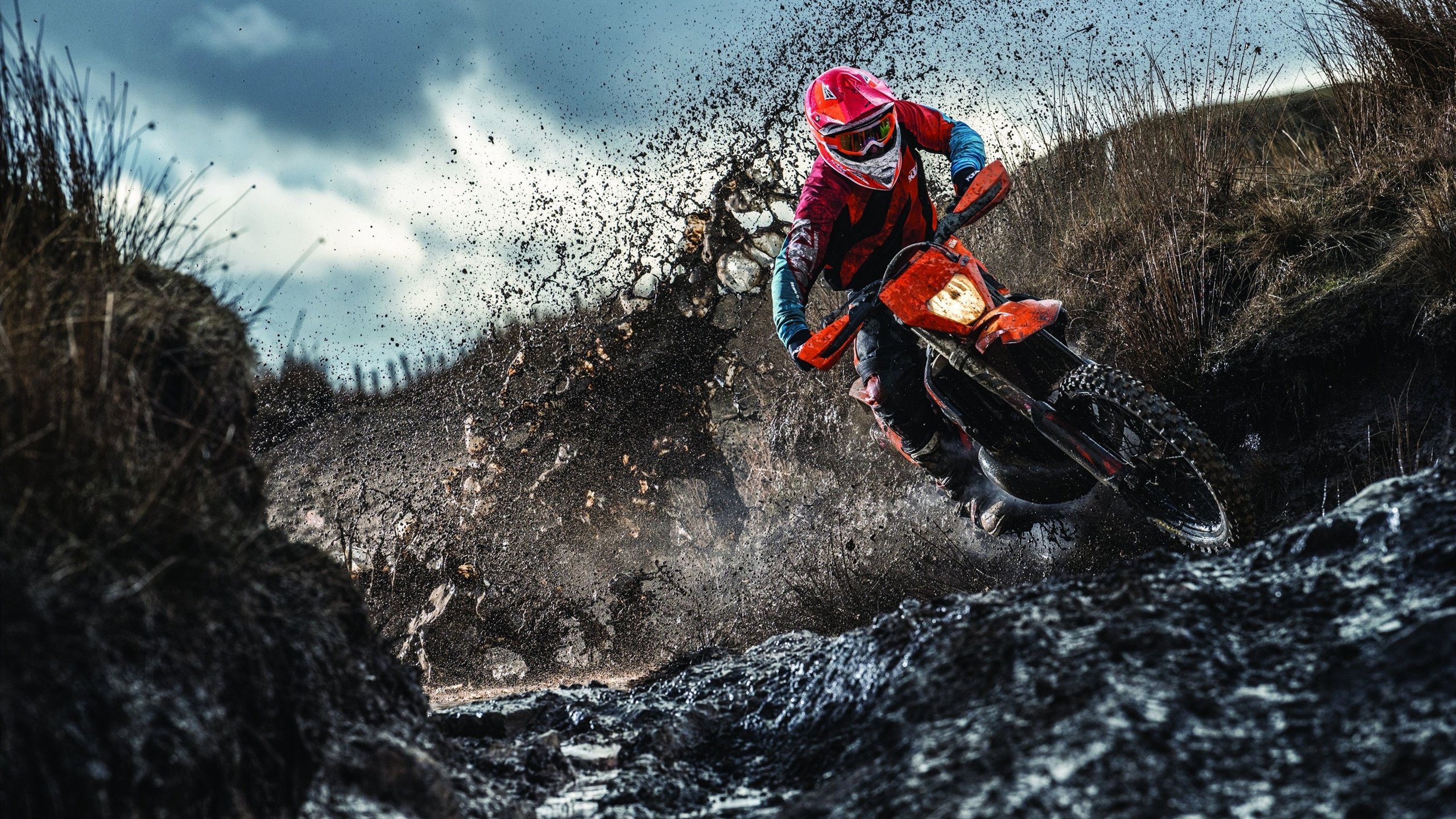 开云体育登录-女篮姑娘的拼搏精神感染全国，女篮精神心得感悟